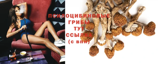 спайс Богородицк