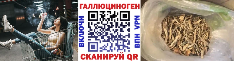 ссылка на мегу ССЫЛКА  Кодинск  Галлюциногенные грибы мицелий  наркотики 